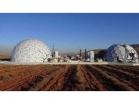 Dünyanın en büyük tek parça halindeki lavanta tarlasına Arı Müzesi kuruluyor