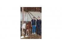 Isparta’da kaybolan hediyelik düveyi polis buldu