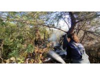 Antalya’da baraka yangını büyümeden söndürüldü