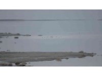 Göller bölgesinde kuşların izini sürüyorlar