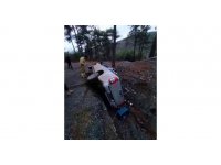 Görevden dönen orman işletmeye ait araç devrildi