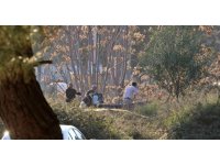 Antalya’da ormanlık alanda kafası ve kolları olmayan erkek cesedi bulundu