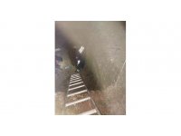 Çukura düşün köpek itfaiye tarafından kurtarıldı