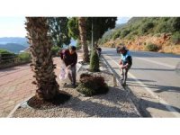 Kaş’ta peyzaj çalışmalarında 4 bin 625 bitki dikildi