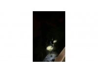 Dereye uçan araç yandı, sürücü hayatını kaybetti