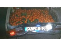 Yakalanacaklarını anlayınca narenciyelerle dolu araçlarını bırakıp kaçtılar