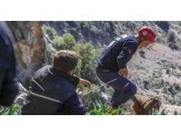 Mahsur kalan 3 keçiyi itfaiye kurtardı