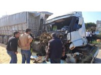 Köpeğe çarpmamak için ani firen yapınca tırlar çarpıştı