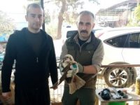 Yaralı bulunan saz delicesi kuşu, tedavi altına alındı