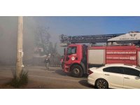 Yangın devasa ağacı sardı, ekiplerin müdahalesi ile eve sıçramadan söndürüldü