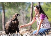 Tedavisi tamamlanan Kara Akbaba özgürlüğe kanat çırptı