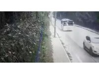 Fırtınanın devirdiği ağaç faciaya sebep oluyordu