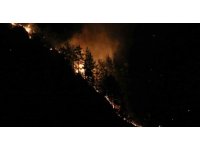 Alanya’daki orman yangınına yakın yerleşim yeri boşaltıldı