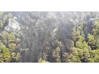 Alanya’da yanan ormanlık alan havadan görüntülendi