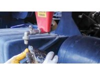 Yangından etkilenen kaplumbağaya ekiplerden can suyu