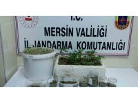 Mersin’de uyuşturucu operasyonu: 1 tutuklu