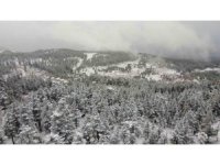 Adana’da kar, yüksek kesimleri beyaza bürüdü