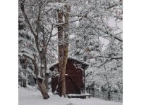 Orman beyaz gelinliği ile mest etti