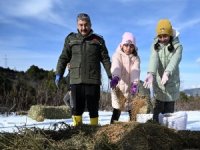 Vali Yılmaz, çocukları ile birlikte, doğaya yem bıraktı