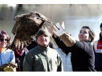 Dünya Sulak Alan Günü’nde iki şahin doğaya bırakıldı