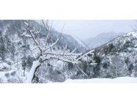 Kuraklık sonrası gelen kar vatandaşı mutlu etti