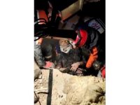 Tuzla Belediyesi Arama Kurtarma Ekipleri, bir kişiyi 30 saat sonra enkazdan kurtardı