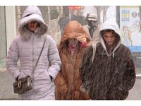 Van’da kar yağışı başladı