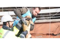 6 katlı bina enkazından sağ çıktı, depremzede kadın sahiplendi