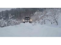 Düzce’de kar köy yollarını kapattı