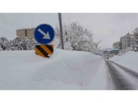 Bitlis’te 251 köy yolu ulaşıma kapandı