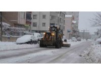 Bafra beyaza büründü