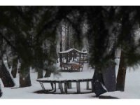 Sakarya’da kar yağışı etkili oluyor