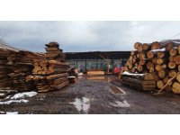 Tomruğun altında kalan adam hayatını kaybetti