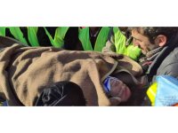 85 saat sonra kurtarılan kadın, ilk olarak torunlarını sordu