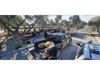 Söke’de deprem bölgesi için başlatılan hayvan bağışına yoğun ilgi