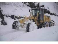 Kardan kapanan yollar açıldı