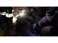 Madenciler ’domuz damı’ yöntemiyle bir kişiyi daha kurtardı