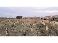 Denizli Valiliği, Hatay’da deprem mezarlığı kurdu