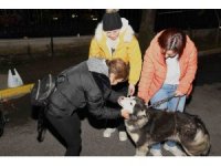 Depremzede köpek Bella İstanbul’da yeni ailesine kavuştu