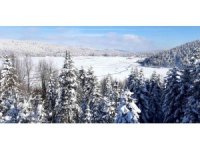 Abant Gölü tamamen buz tuttu