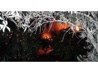 Yaşlı çift yangından komşuları sayesinde kurtuldu