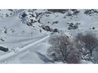 Hakkari’de 7 yerleşim yeri yolunun açılması için çalışmalar sürüyor