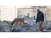 Diyarbakır’da depremde 7 sağlık çalışanı hayatını kaybetti