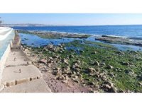 Marmara Denizi 25 metre çekildi: "Depremle alakası yok"