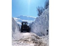 Bitlis’te karla mücadele çalışmaları