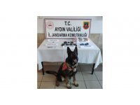 Nazilli’de fuhuş operasyonu