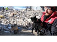 Kahramanmaraş’ta 174 saat sonra enkazdan ‘Ardıç’ isimli kedi kurtarıldı