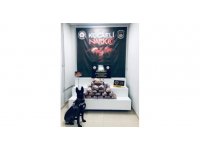 20 kilo uyuşturucuyu tırın yatak kısmına gizlemiş