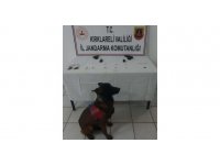 Kırklareli’nde uyuşturucu operasyonu: 1 şüpheli gözaltına alındı