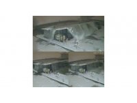 Kameraya yansıyan deprem anındaki görüntü tsunamiyi hatırlattı